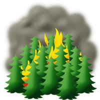forestfire