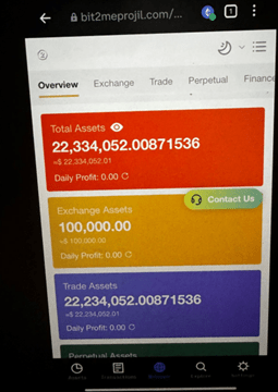 A mobile screen displaying a dashboard of assets with fabricated dollar amounts
